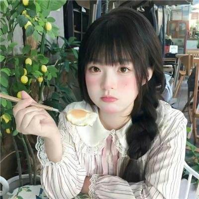 欧栗树